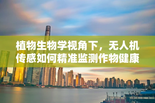 植物生物学视角下，无人机传感如何精准监测作物健康？