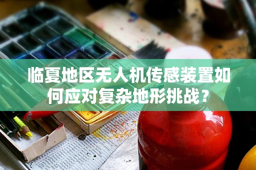 临夏地区无人机传感装置如何应对复杂地形挑战？