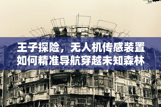 王子探险，无人机传感装置如何精准导航穿越未知森林？