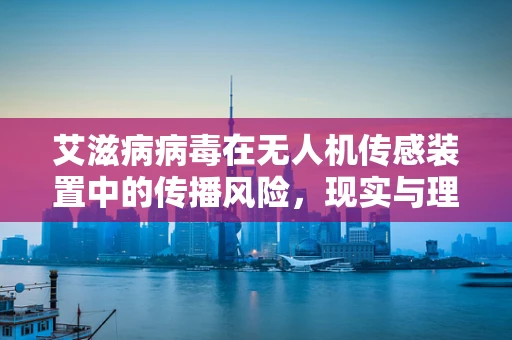 艾滋病病毒在无人机传感装置中的传播风险，现实与理论探讨