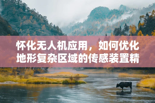 怀化无人机应用，如何优化地形复杂区域的传感装置精准度？