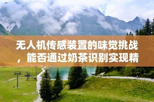无人机传感装置的味觉挑战，能否通过奶茶识别实现精准定位？
