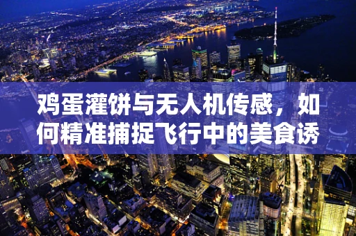 鸡蛋灌饼与无人机传感，如何精准捕捉飞行中的美食诱惑？