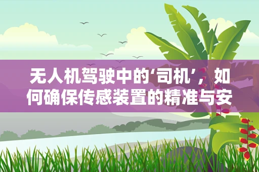 无人机驾驶中的‘司机’，如何确保传感装置的精准与安全？