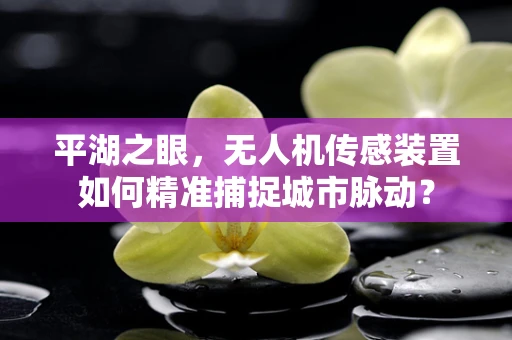 平湖之眼，无人机传感装置如何精准捕捉城市脉动？