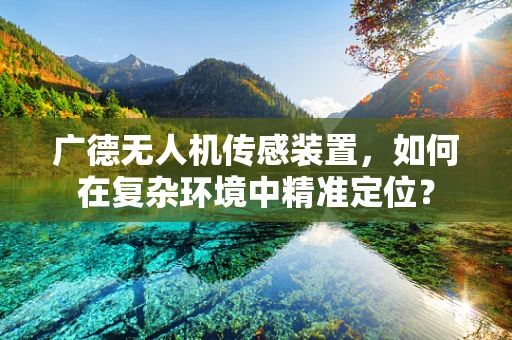 广德无人机传感装置，如何在复杂环境中精准定位？