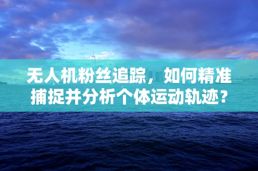 无人机粉丝追踪，如何精准捕捉并分析个体运动轨迹？
