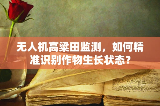 无人机高粱田监测，如何精准识别作物生长状态？