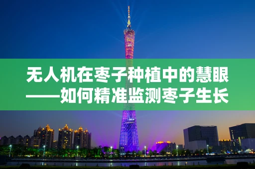 无人机在枣子种植中的慧眼——如何精准监测枣子生长环境？