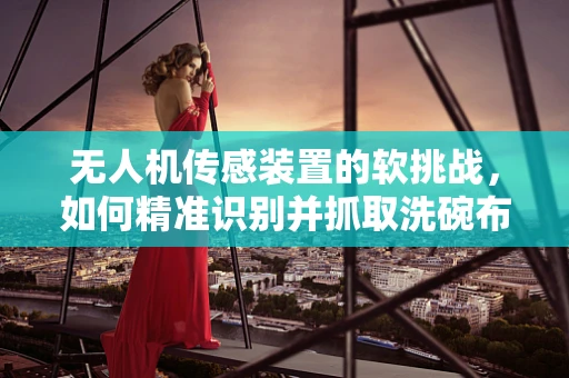 无人机传感装置的软挑战，如何精准识别并抓取洗碗布？