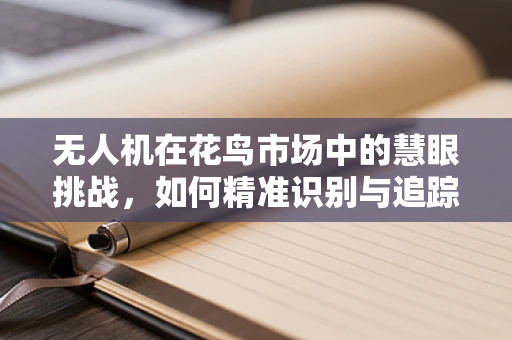 无人机在花鸟市场中的慧眼挑战，如何精准识别与追踪？