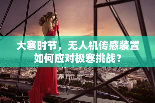 大寒时节，无人机传感装置如何应对极寒挑战？