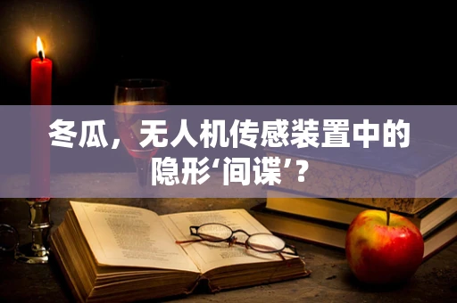 冬瓜，无人机传感装置中的隐形‘间谍’？