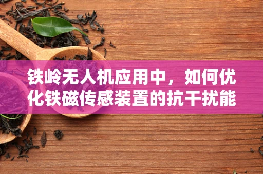 铁岭无人机应用中，如何优化铁磁传感装置的抗干扰能力？