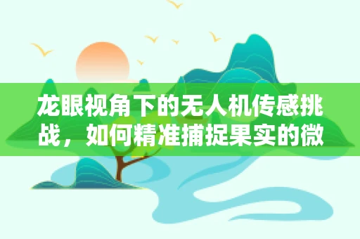 龙眼视角下的无人机传感挑战，如何精准捕捉果实的微小变化？