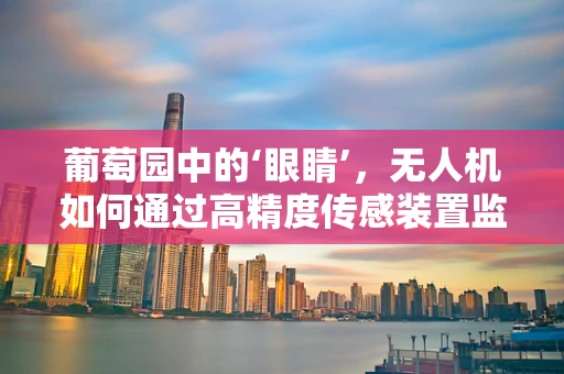 葡萄园中的‘眼睛’，无人机如何通过高精度传感装置监测葡萄生长？