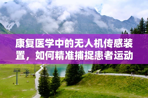 康复医学中的无人机传感装置，如何精准捕捉患者运动恢复的细微变化？