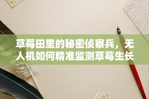草莓田里的秘密侦察兵，无人机如何精准监测草莓生长？