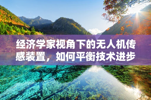 经济学家视角下的无人机传感装置，如何平衡技术进步与成本控制？