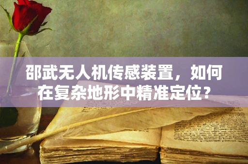 邵武无人机传感装置，如何在复杂地形中精准定位？