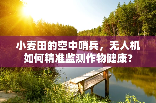 小麦田的空中哨兵，无人机如何精准监测作物健康？