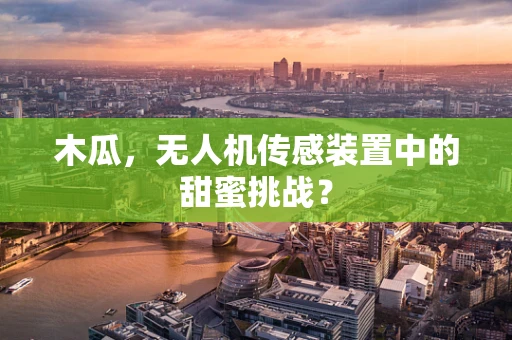 木瓜，无人机传感装置中的甜蜜挑战？