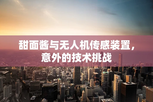 甜面酱与无人机传感装置，意外的技术挑战