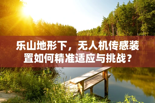 乐山地形下，无人机传感装置如何精准适应与挑战？