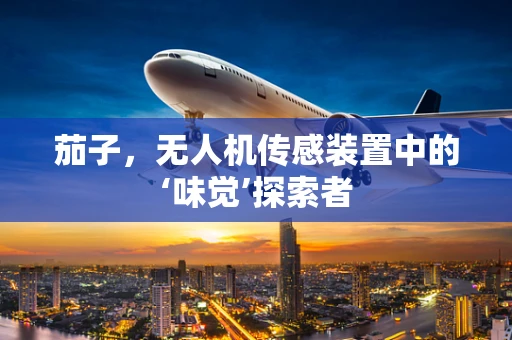 茄子，无人机传感装置中的‘味觉’探索者