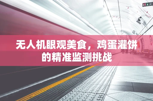 无人机眼观美食，鸡蛋灌饼的精准监测挑战