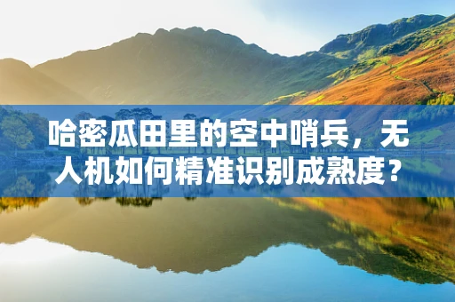哈密瓜田里的空中哨兵，无人机如何精准识别成熟度？