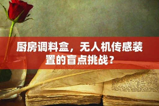 厨房调料盒，无人机传感装置的盲点挑战？