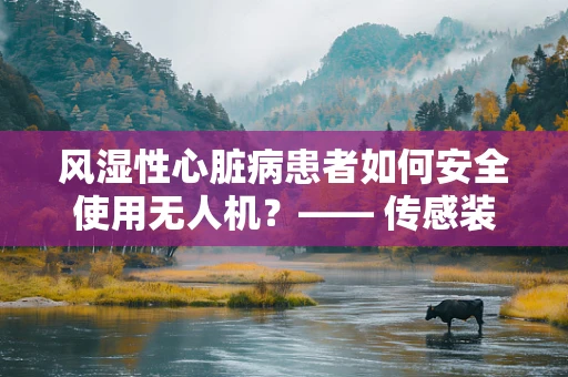 风湿性心脏病患者如何安全使用无人机？—— 传感装置的挑战与考量