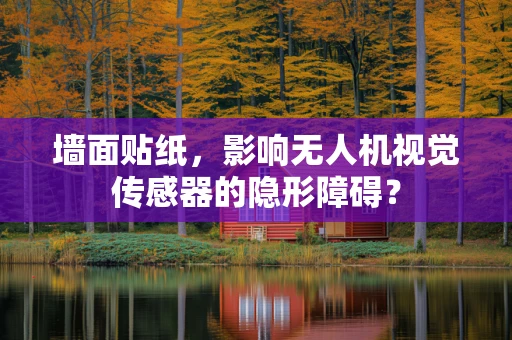 墙面贴纸，影响无人机视觉传感器的隐形障碍？