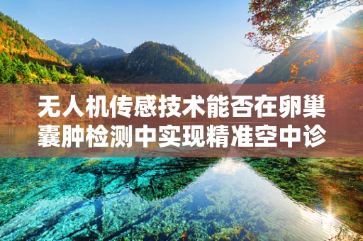 无人机传感技术能否在卵巢囊肿检测中实现精准空中诊断？