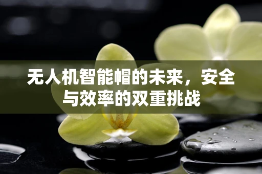 无人机智能帽的未来，安全与效率的双重挑战