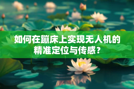 如何在蹦床上实现无人机的精准定位与传感？