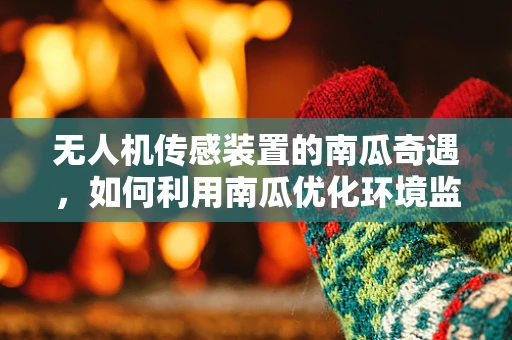无人机传感装置的南瓜奇遇，如何利用南瓜优化环境监测？