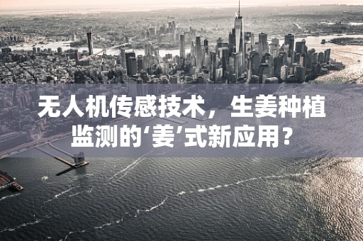 无人机传感技术，生姜种植监测的‘姜’式新应用？