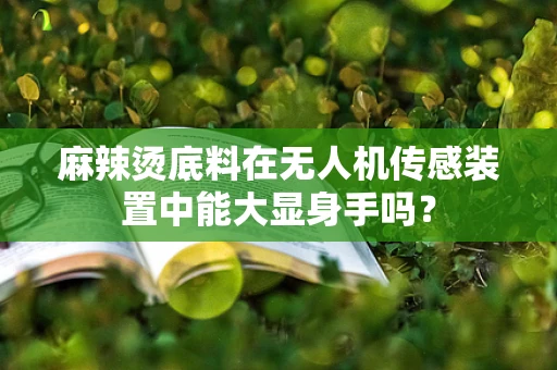 麻辣烫底料在无人机传感装置中能大显身手吗？