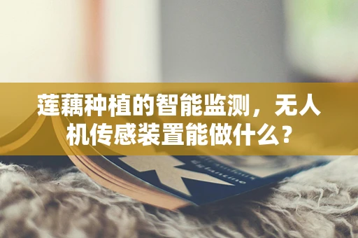 莲藕种植的智能监测，无人机传感装置能做什么？