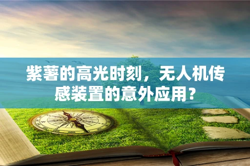 紫薯的高光时刻，无人机传感装置的意外应用？