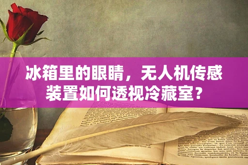 冰箱里的眼睛，无人机传感装置如何透视冷藏室？