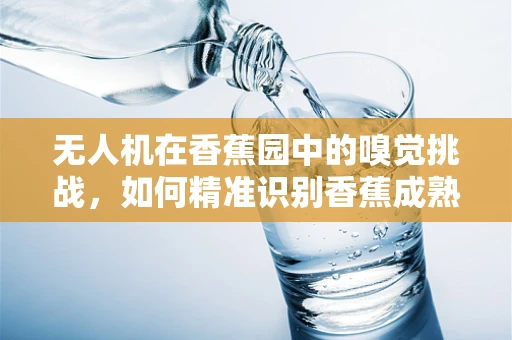 无人机在香蕉园中的嗅觉挑战，如何精准识别香蕉成熟度？