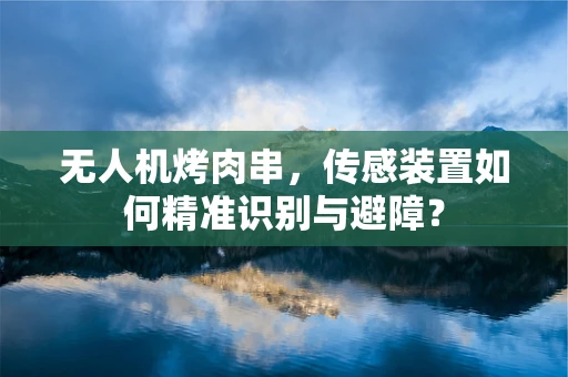 无人机烤肉串，传感装置如何精准识别与避障？