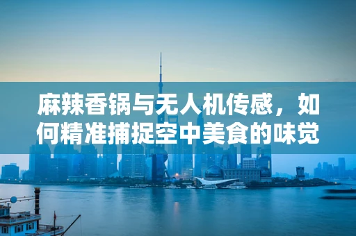 麻辣香锅与无人机传感，如何精准捕捉空中美食的味觉