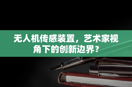 无人机传感装置，艺术家视角下的创新边界？