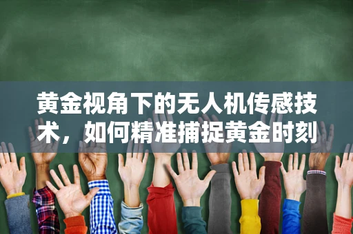 黄金视角下的无人机传感技术，如何精准捕捉黄金时刻？