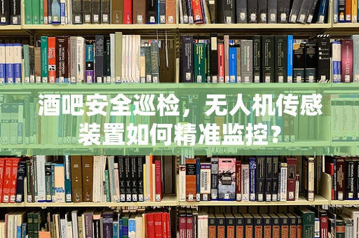 酒吧安全巡检，无人机传感装置如何精准监控？