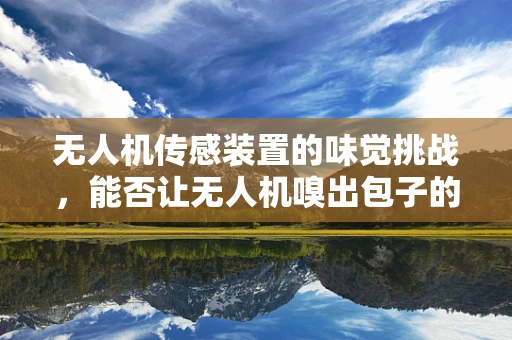 无人机传感装置的味觉挑战，能否让无人机嗅出包子的香气？